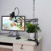61QUj6-9GAL._AC_SL1014_ BM-800 Studio Recording Condenser Microphone with USB Sound Card