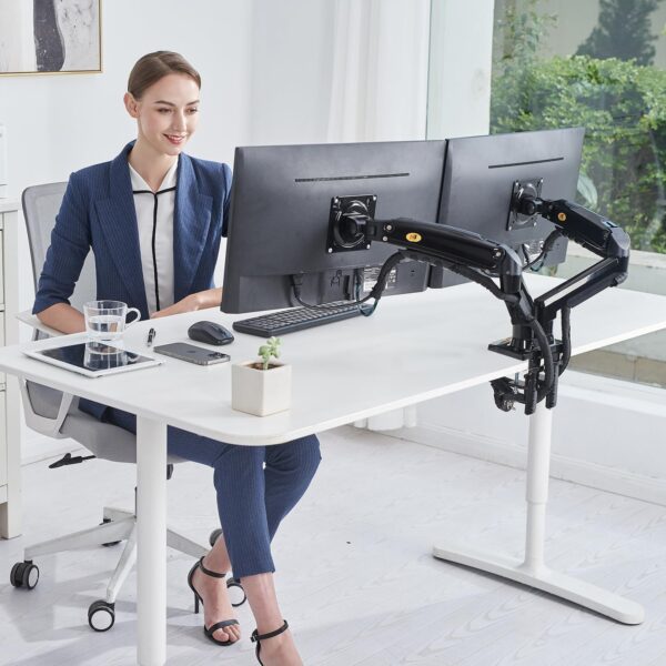NB North Bayou Dual Monitor Mount