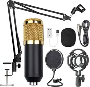 BM-800 Studio Recording Condenser Microphone with USB Sound Card