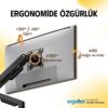 71ooPho+nIL._AC_SL1500_ ergoflex North Bayou NB F80 17-30 Shock Absorber 2-9kg Monitor Stand